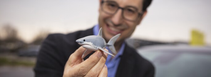 Shark Attack
