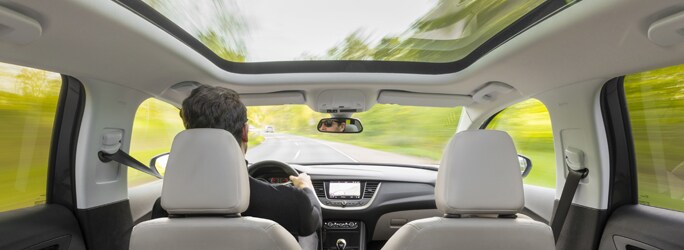 Toits Panoramiques Opel